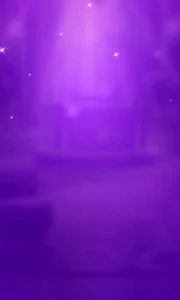 Alle Live-Casinos